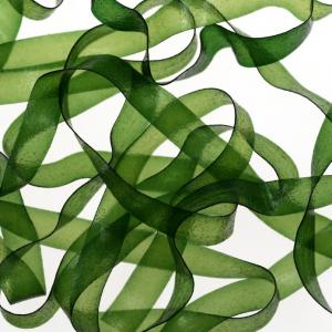 Плівка SYBAI Body Stretch - Green [Зелений]