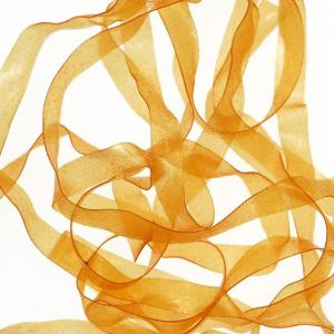 Плівка SYBAI Body Stretch - Honey [Медовий]