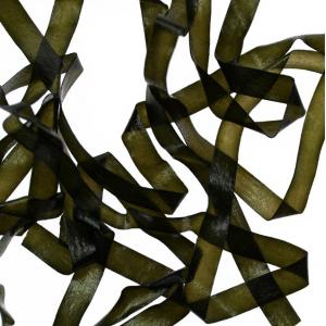 Плівка SYBAI Body Stretch - Khaki [Хакі]