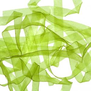 Плівка SYBAI Body Stretch - Light Green [Світло-зелений]