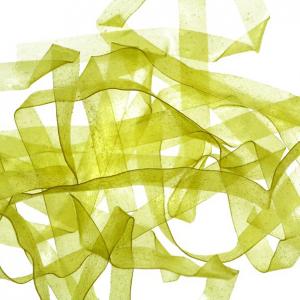 Плівка SYBAI Body Stretch - Light Chartreuse [Світло-салатовий]