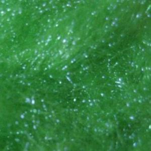 Даббінг HENDS Microflash Dubbing - Green Fluo [Флуо-зелений] 