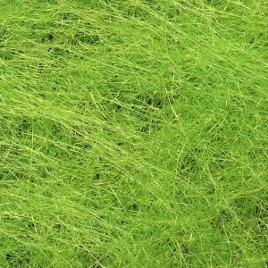 SYBAI SLF Dubbing - Bright Green 