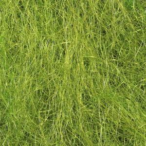 SYBAI SLF Dubbing - Olive