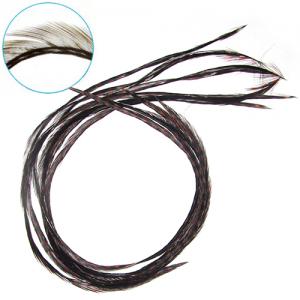 Пір'я сідла півня WHITING Cock Feathers - Coachman Brown [Темно-коричневий]