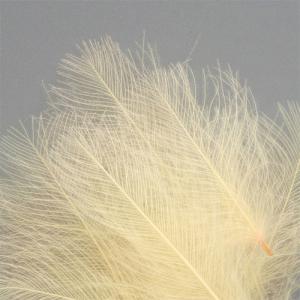 Пір'я качки HENDS CDC - Light Peach [Світло-персиковий] 25шт