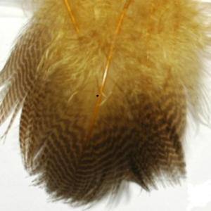 Пір'я сірої качки WAPSI Gadwall Barred Flank