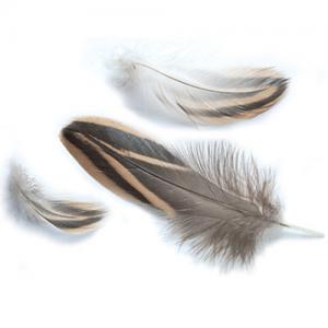 Пір'я дикої качки STRIKE Mallard Duck Hen - Natural [Натуральний]