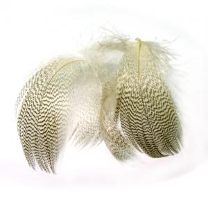 Пір'я селезня STRIKE Mallard Duck - Natural Gray [Натуральний сірий]