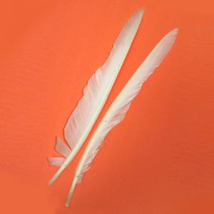 Гусячі біоти STRIKE Goose Biots - White [Білий]