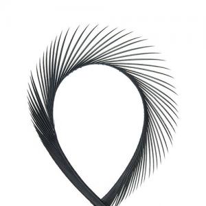 Гусячі біоти WAPSI Goose Biots - Black [Чорний]