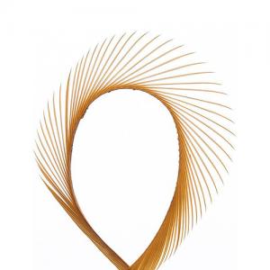 Гусячі біоти WAPSI Goose Biots - Ginger [Імбирний]