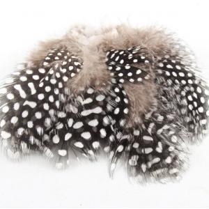 Пір'я цесарки STRIKE Guinea Feathers - Natural [Натуральний]