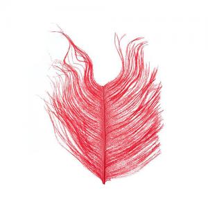 Борідки пера страуса WAPSI Ostrich Herl - Red [Червоний]