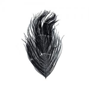 Борідки пера страуса WAPSI Ostrich Herl - Black [Чорний]