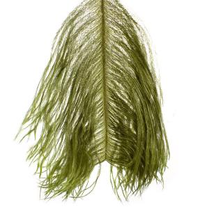 Борідки пера страуса WAPSI Ostrich Herl - Olive [Оливковий]