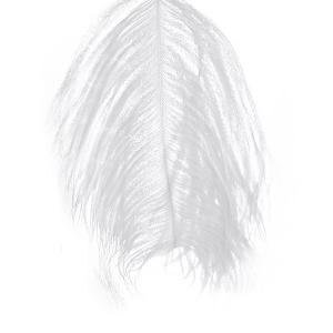 Борідки пера страуса WAPSI Ostrich Herl - White [Білий]
