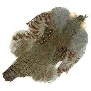 Шкура куріпки STRIKE Partridge Complete Skin - Natural [Натуральний]