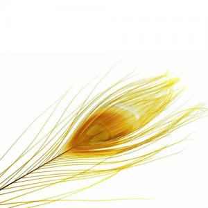 Перо павича HENDS Peacock Eyes Coloured Bleached -  Yellow [Жовтий]