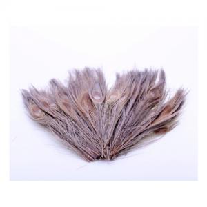 Перо павича HENDS Peacock Eyes Coloured -  Grey [Сірий]