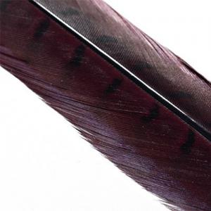 Перо фазана хвостове HENDS Pheasant Tail - Claret [Бордовий]