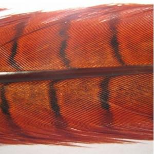 Перо фазана хвостове HENDS Pheasant Tail - Orange [Оранжевий]