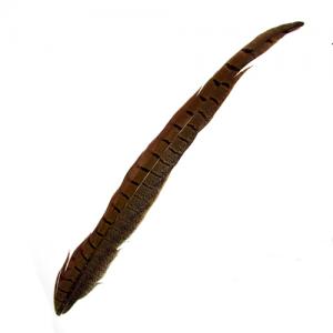 Перо фазана хвостове STRIKE Pheasant Tail - Natural [Натуральний]