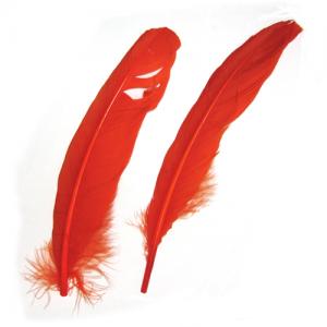 Пір'я індика STRIKE Mottled Turkey Quills - Orange [Оранжевий]