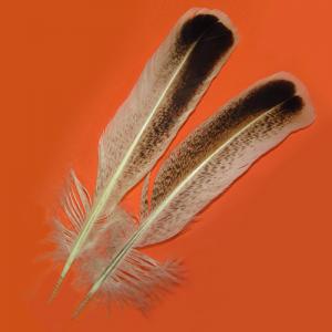 Пір'я індика махові STRIKE Mottled Turkey Quills - White [Білий]