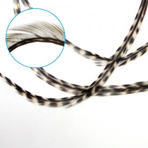 Пір'я у волосся сідла півня WHITING Cock Feathers Extra Long - Grizzly [Грізлі]