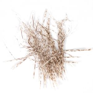 Ніжки борідок пера фазана STRIKE Daddy Legs - Light [Світлий]