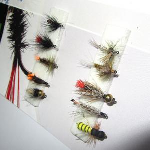 Набір мух для попла-поппера