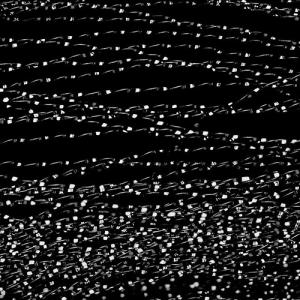 Синтетичні волокна WAPSI Midge Flash - Black [Чорний]