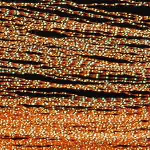 Синтетичні волокна WAPSI Midge Flash - Fl.Fire Orange/Pearl [Флуо оранжевий з перламутром]