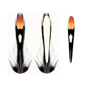 Імітація глазкового пір'я джунглевого півня SYBAI Jungle Cock Substitute - Natural [Натуральний]