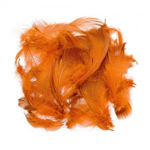 Пір'я селезня WAPSI Mallard Barred Flank - Fluo Fire Orange [Флуо вогняний оранжевий]