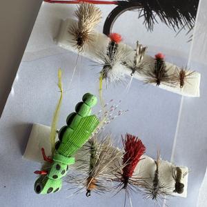 Набір сухих мух