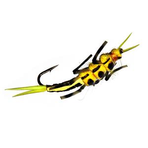Realistic Stone Fly Nymph Olive