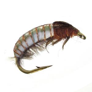 Realistic Caddis