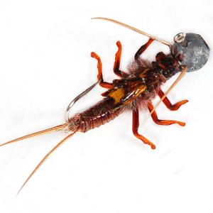 Micro Jig Realistic Stone Fly