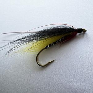 Yellow Fish Silver Minnow