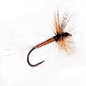 Brown Mayfly
