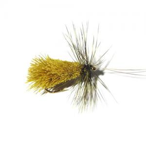 Goddard Caddis Green