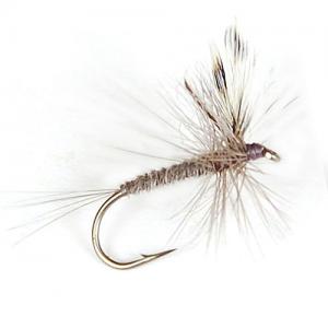 Mayfly Gray