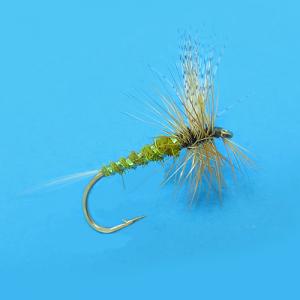 Olive Mayfly