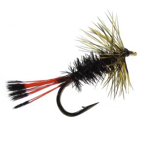 Peacock Dry Fly