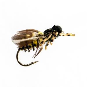 Real Wasp