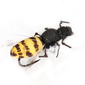 Realistic Wasp