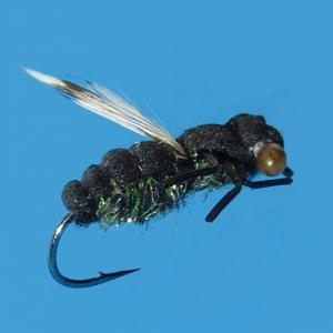 Realistic Fly