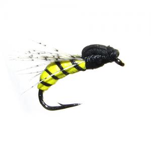 Wasp Yellow